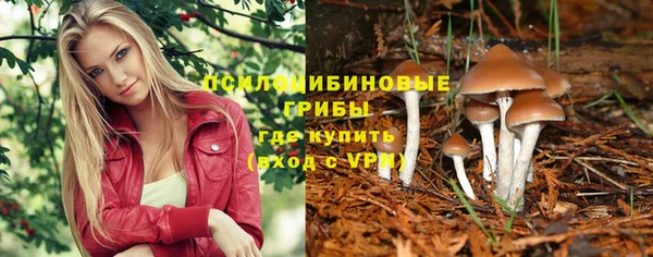 молекула духа Абаза