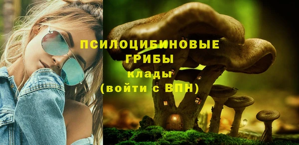 амф Абдулино
