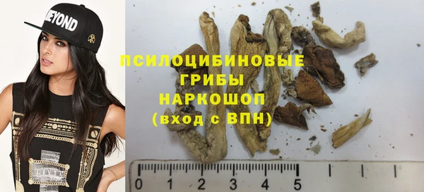 амф Абдулино