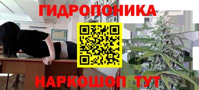 индика Краснознаменск