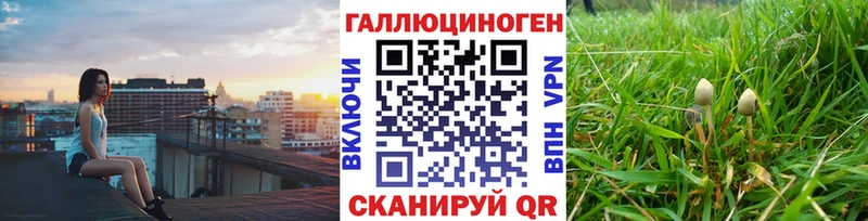 Галлюциногенные грибы Cubensis  Кумертау 